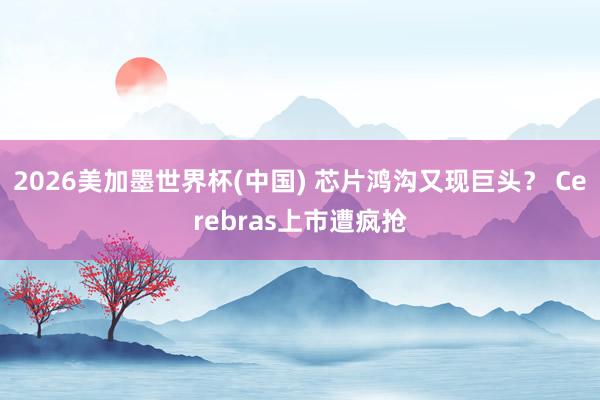 2026美加墨世界杯(中国) 芯片鸿沟又现巨头? Cerebras上市遭疯抢