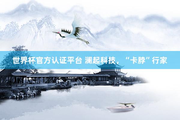 世界杯官方认证平台 澜起科技，“卡脖”行家