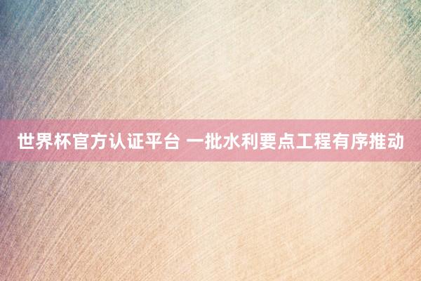 世界杯官方认证平台 一批水利要点工程有序推动