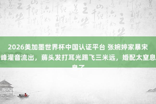 2026美加墨世界杯中国认证平台 张婉婷家暴宋宁峰灌音流出，薅头发打耳光踢飞三米远，婚配太窒息了