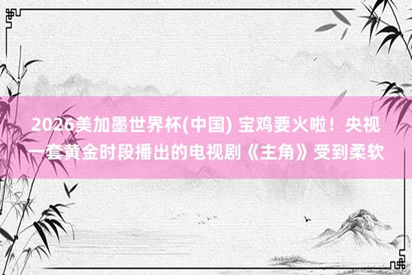 2026美加墨世界杯(中国) 宝鸡要火啦!央视一套黄金时段播出的电视剧《主角》受到柔软