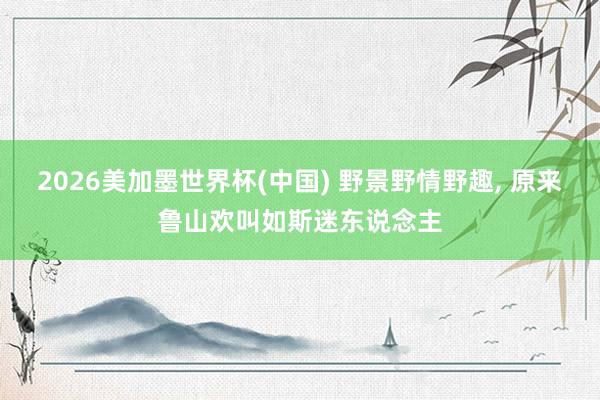 2026美加墨世界杯(中国) 野景野情野趣, 原来鲁山欢叫如斯迷东说念主