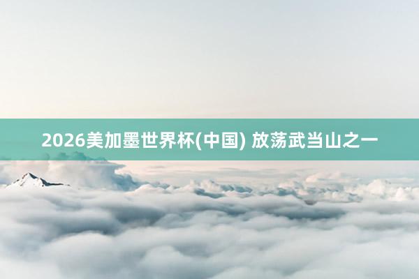 2026美加墨世界杯(中国) 放荡武当山之一
