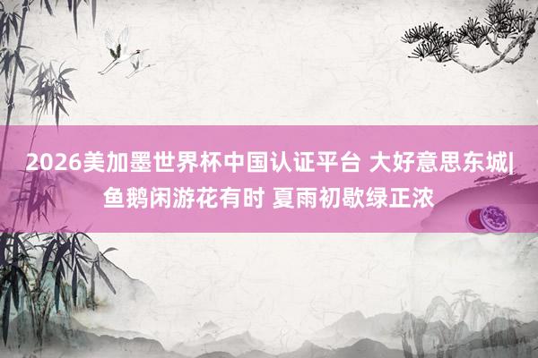 2026美加墨世界杯中国认证平台 大好意思东城|鱼鹅闲游花有时 夏雨初歇绿正浓