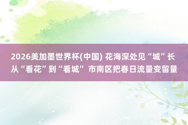 2026美加墨世界杯(中国) 花海深处见“城”长 从“看花”到“看城” 市南区把春日流量变留量