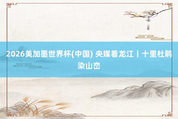 2026美加墨世界杯(中国) 央媒看龙江丨十里杜鹃染山峦