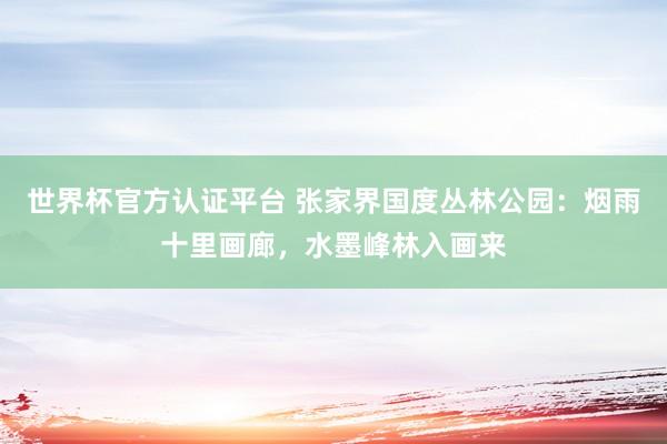 世界杯官方认证平台 张家界国度丛林公园：烟雨十里画廊，水墨峰林入画来