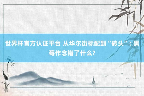 世界杯官方认证平台 从华尔街标配到“砖头”: 黑莓作念错了什么?