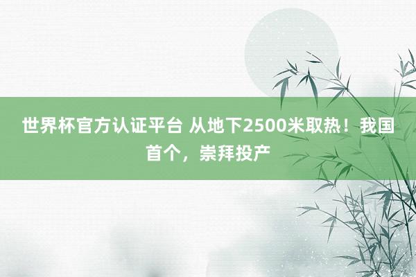 世界杯官方认证平台 从地下2500米取热!我国首个,崇拜投产