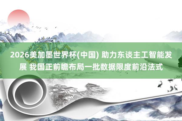 2026美加墨世界杯(中国) 助力东谈主工智能发展 我国正前瞻布局一批数据限度前沿法式
