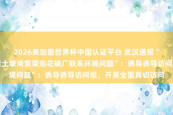 2026美加墨世界杯中国认证平台 武汉通报“新洲区李集街张信村黄土坡湾繁荣泡花碱厂联系环境问题”：诱导诱导访问组，开展全面真切访问