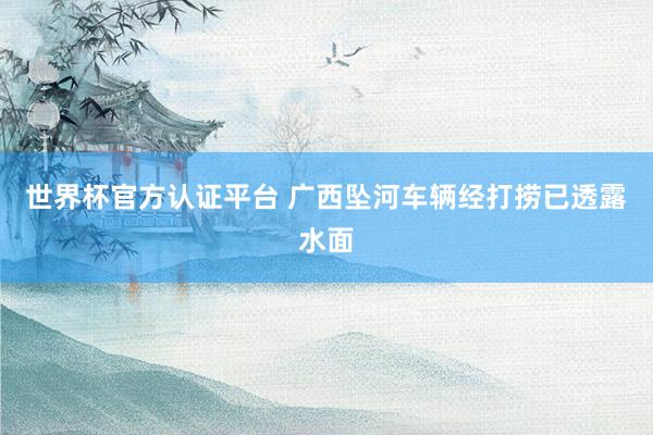 世界杯官方认证平台 广西坠河车辆经打捞已透露水面