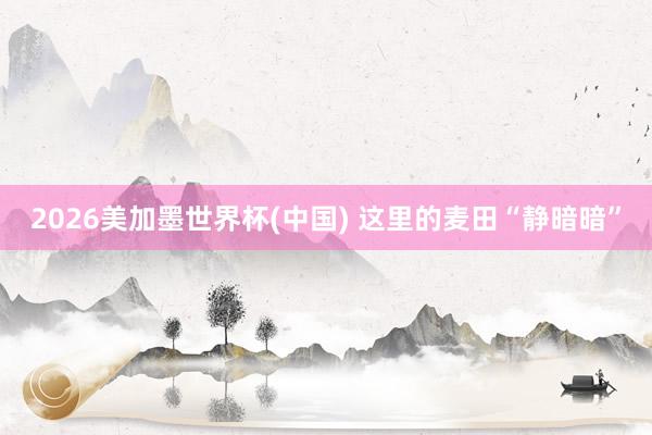 2026美加墨世界杯(中国) 这里的麦田“静暗暗”
