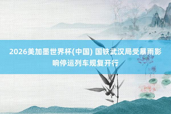 2026美加墨世界杯(中国) 国铁武汉局受暴雨影响停运列车规复开行
