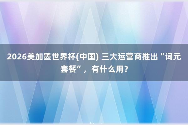 2026美加墨世界杯(中国) 三大运营商推出“词元套餐”,有什么用?