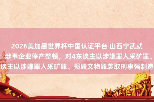 2026美加墨世界杯中国认证平台 山西宁武就神达朝凯煤业问题通报：涉事企业停产整顿，对4东谈主以涉嫌罪人采矿罪、损毁文物罪袭取刑事强制递次