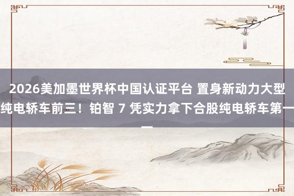 2026美加墨世界杯中国认证平台 置身新动力大型纯电轿车前三！铂智 7 凭实力拿下合股纯电轿车第一