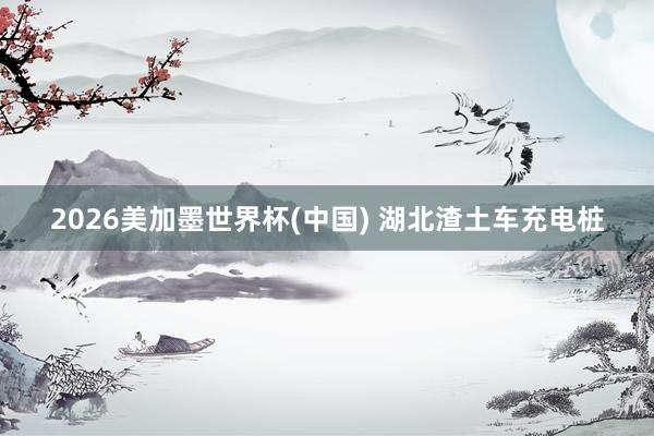 2026美加墨世界杯(中国) 湖北渣土车充电桩