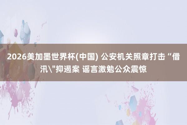 2026美加墨世界杯(中国) 公安机关照章打击“借汛