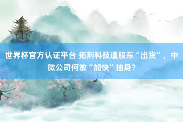 世界杯官方认证平台 拓荆科技遭股东“出货”,中微公司何故“加快”抽身?