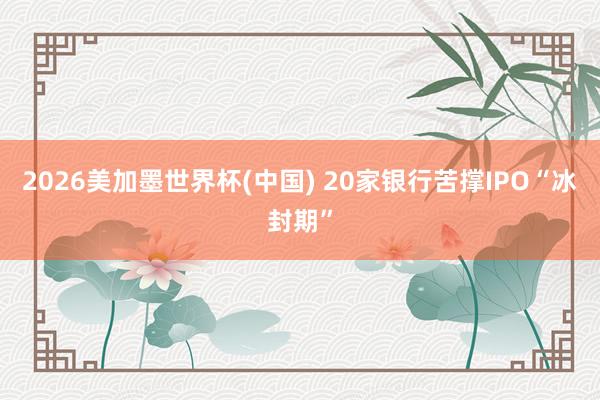 2026美加墨世界杯(中国) 20家银行苦撑IPO“冰封期”