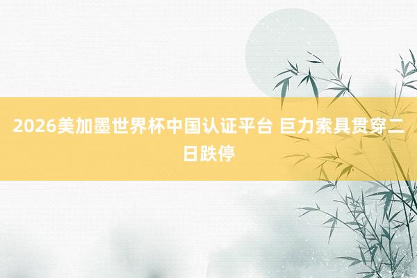 2026美加墨世界杯中国认证平台 巨力索具贯穿二日跌停