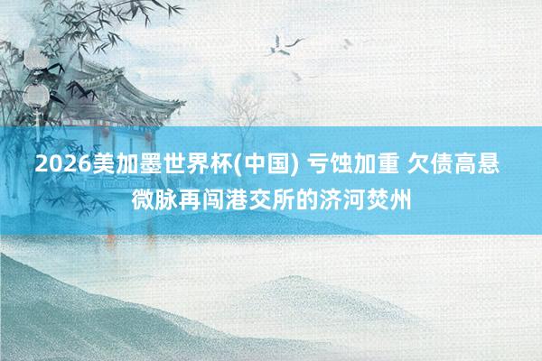 2026美加墨世界杯(中国) 亏蚀加重 欠债高悬 微脉再闯港交所的济河焚州