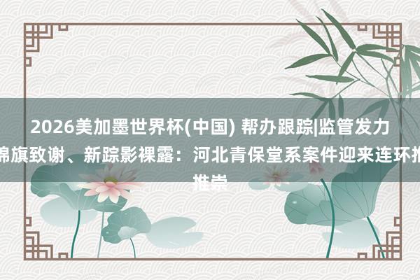 2026美加墨世界杯(中国) 帮办跟踪|监管发力、锦旗致谢、新踪影裸露：河北青保堂系案件迎来连环推崇
