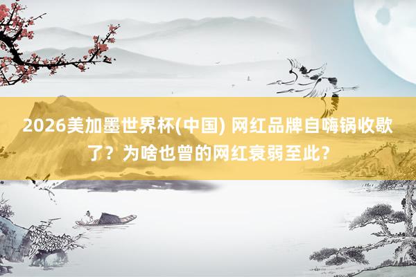 2026美加墨世界杯(中国) 网红品牌自嗨锅收歇了？为啥也曾的网红衰弱至此？