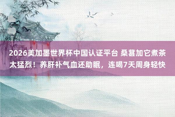 2026美加墨世界杯中国认证平台 桑葚加它煮茶太猛烈！养肝补气血还助眠，连喝7天周身轻快