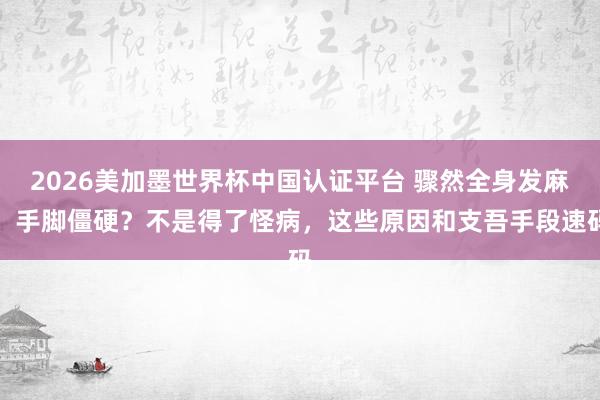 2026美加墨世界杯中国认证平台 骤然全身发麻、手脚僵硬？不是得了怪病，这些原因和支吾手段速码