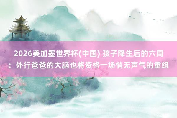 2026美加墨世界杯(中国) 孩子降生后的六周：外行爸爸的大脑也将资格一场悄无声气的重组