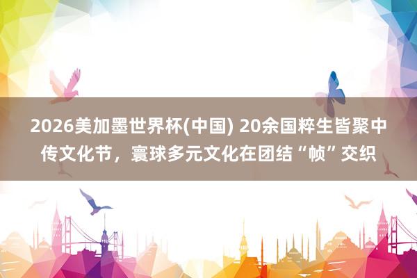 2026美加墨世界杯(中国) 20余国粹生皆聚中传文化节，寰球多元文化在团结“帧”交织