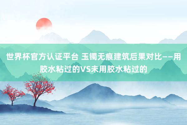 世界杯官方认证平台 玉镯无痕建筑后果对比——用胶水粘过的VS未用胶水粘过的