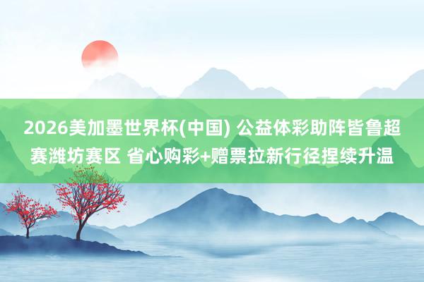2026美加墨世界杯(中国) 公益体彩助阵皆鲁超赛潍坊赛区 省心购彩+赠票拉新行径捏续升温