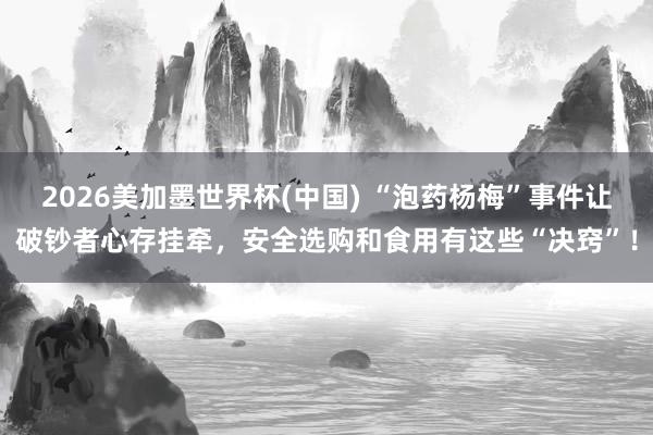 2026美加墨世界杯(中国) “泡药杨梅”事件让破钞者心存挂牵,安全选购和食用有这些“决窍”!