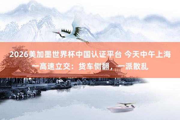 2026美加墨世界杯中国认证平台 今天中午上海一高速立交:货车侧翻,一派散乱