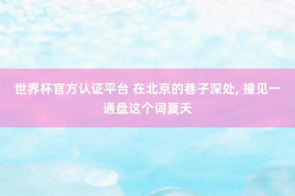 世界杯官方认证平台 在北京的巷子深处， 撞见一通盘这个词夏天