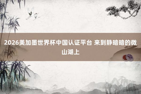 2026美加墨世界杯中国认证平台 来到静暗暗的微山湖上