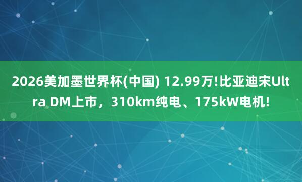 2026美加墨世界杯(中国) 12.99万!比亚迪宋Ultra DM上市，310km纯电、175kW电机!