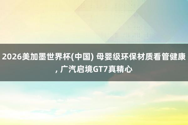 2026美加墨世界杯(中国) 母婴级环保材质看管健康， 广汽启境GT7真精心