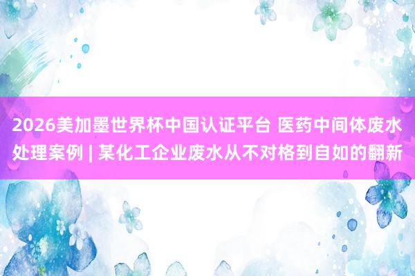 2026美加墨世界杯中国认证平台 医药中间体废水处理案例 | 某化工企业废水从不对格到自如的翻新