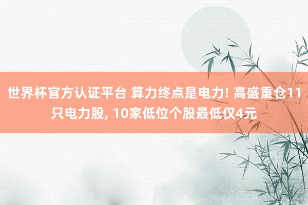 世界杯官方认证平台 算力终点是电力! 高盛重仓11只电力股， 10家低位个股最低仅4元