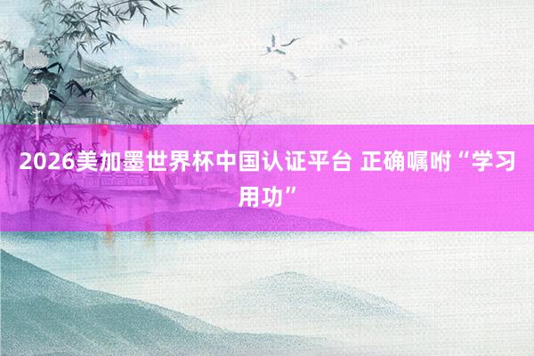 2026美加墨世界杯中国认证平台 正确嘱咐“学习用功”