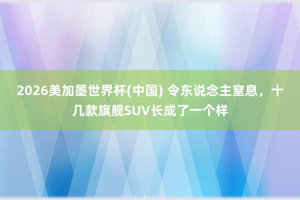 2026美加墨世界杯(中国) 令东说念主窒息,十几款旗舰SUV长成了一个样