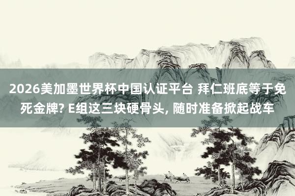 2026美加墨世界杯中国认证平台 拜仁班底等于免死金牌? E组这三块硬骨头, 随时准备掀起战车
