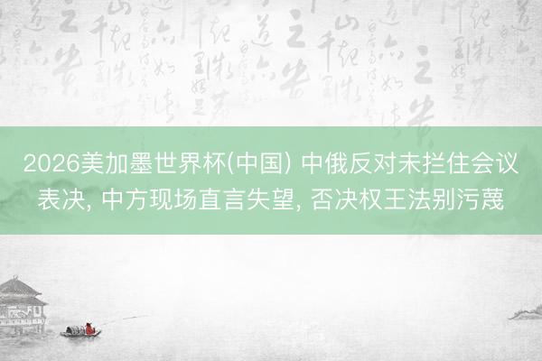 2026美加墨世界杯(中国) 中俄反对未拦住会议表决, 中方现场直言失望, 否决权王法别污蔑
