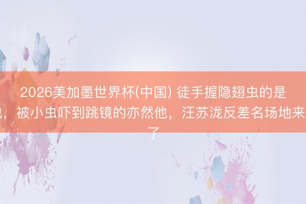 2026美加墨世界杯(中国) 徒手握隐翅虫的是他，被小虫吓到跳镜的亦然他，汪苏泷反差名场地来了