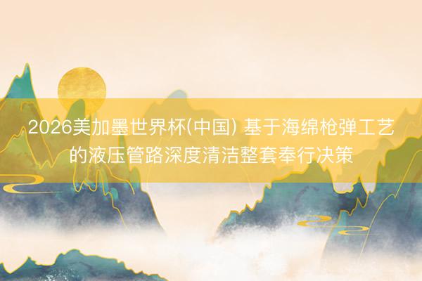 2026美加墨世界杯(中国) 基于海绵枪弹工艺的液压管路深度清洁整套奉行决策