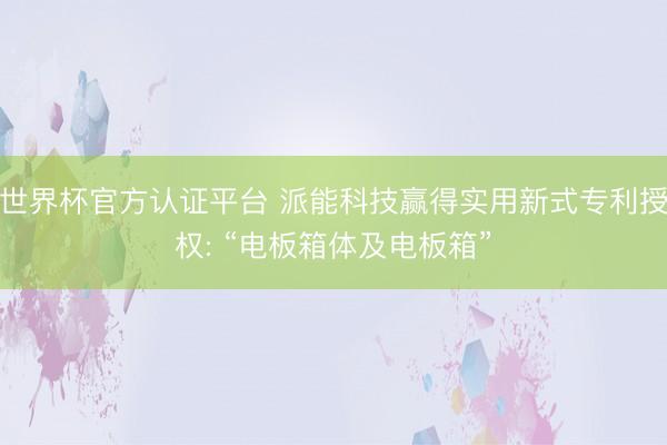 世界杯官方认证平台 派能科技赢得实用新式专利授权: “电板箱体及电板箱”